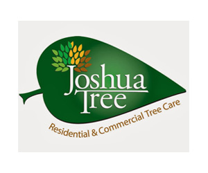 Joshua Tree