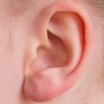 ear-2372090_640